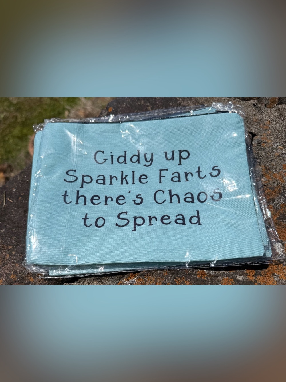 "Giddy Up" Make Up Bag~
NEW!